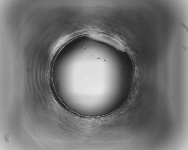 X0000100910007200807011254