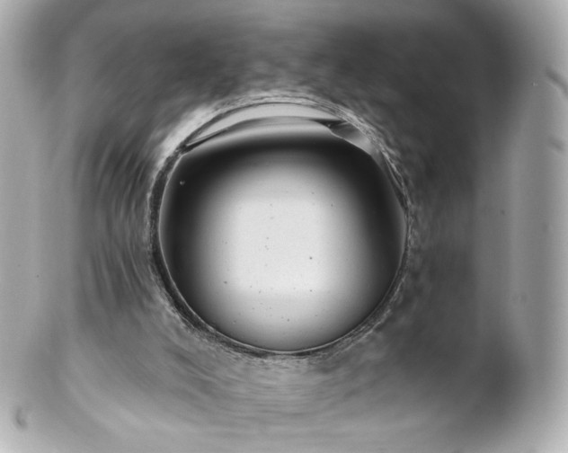 X0000100910008200807011254