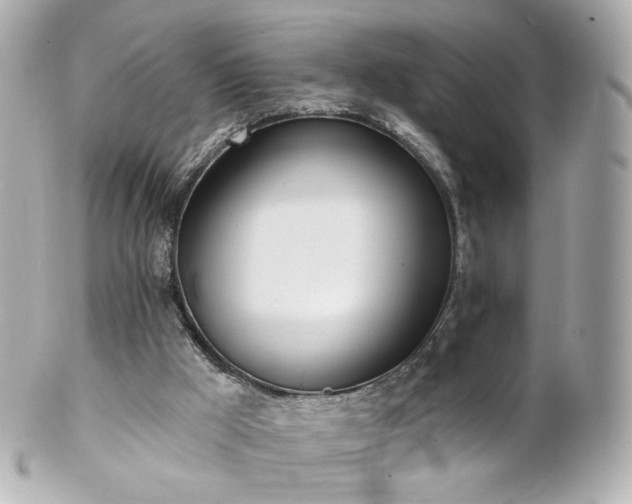 X0000100910009200807011254