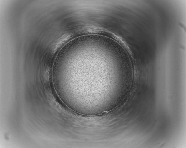 X0000100910010200807011254