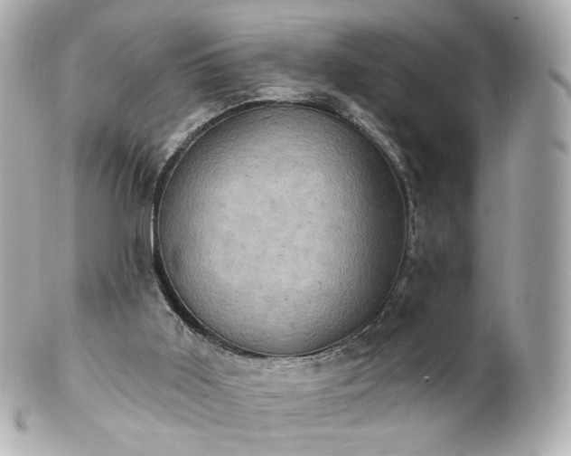 X0000100910011200807011254