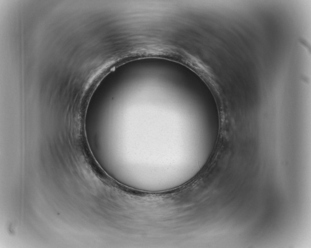 X0000100910012200807011254