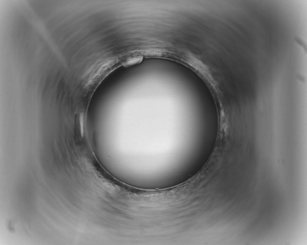 X0000100910013200807011254