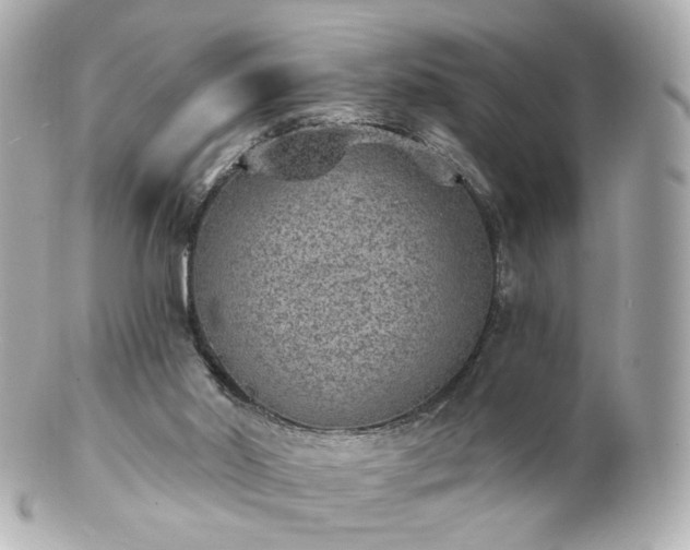 X0000100910014200807011254