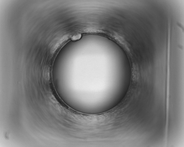 X0000100910015200807011254