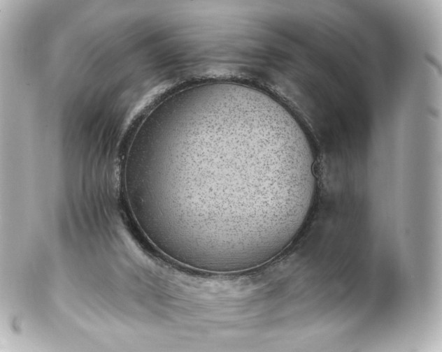 X0000100910016200807011254