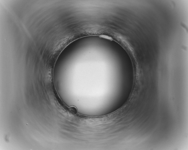 X0000100910017200807011254