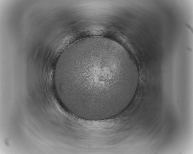 X0000100910018200807011254