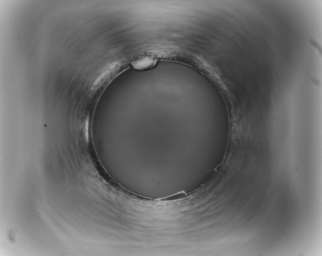 X0000100910019200807011254
