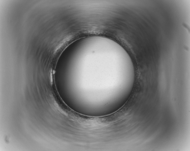 X0000100910020200807011254