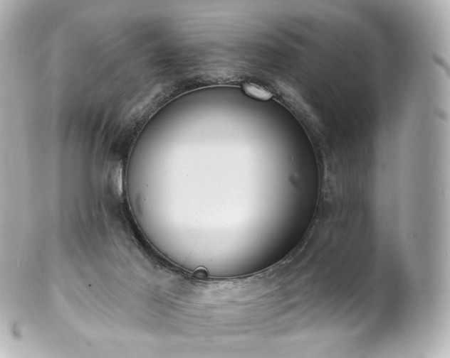 X0000100910021200807011254