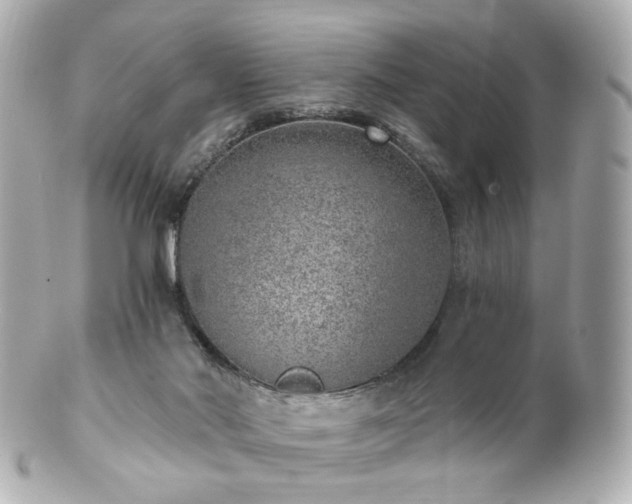 X0000100910022200807011254