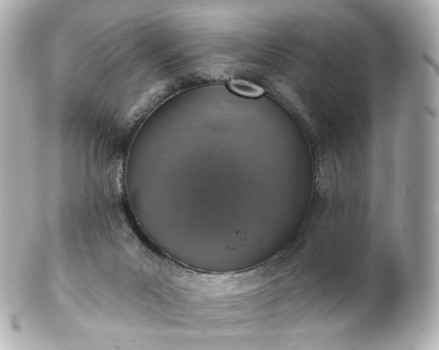 X0000100910023200807011254