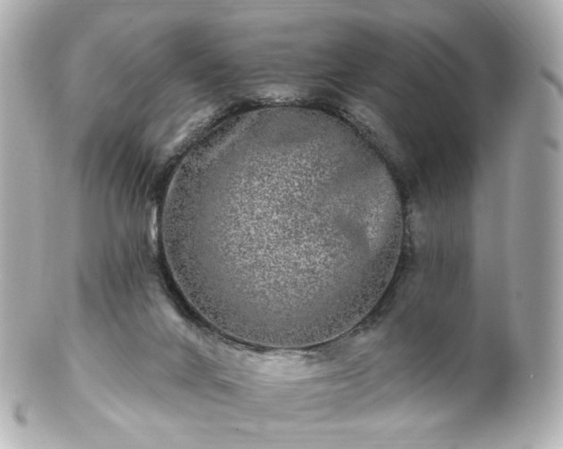 X0000100910024200807011254