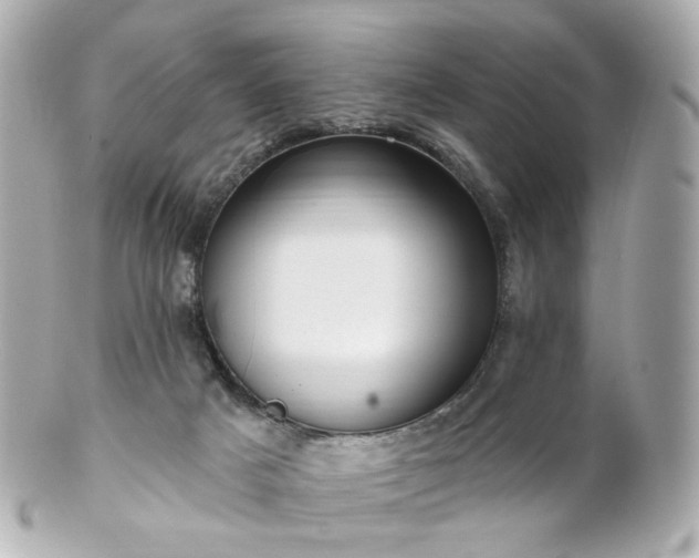 X0000100910025200807011254