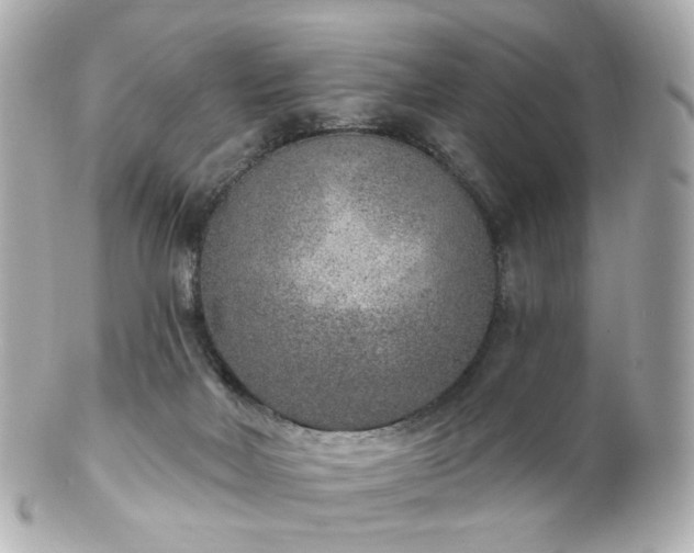 X0000100910026200807011254
