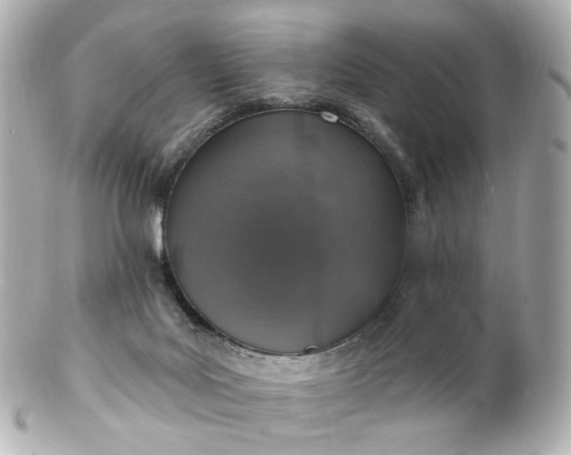 X0000100910027200807011254