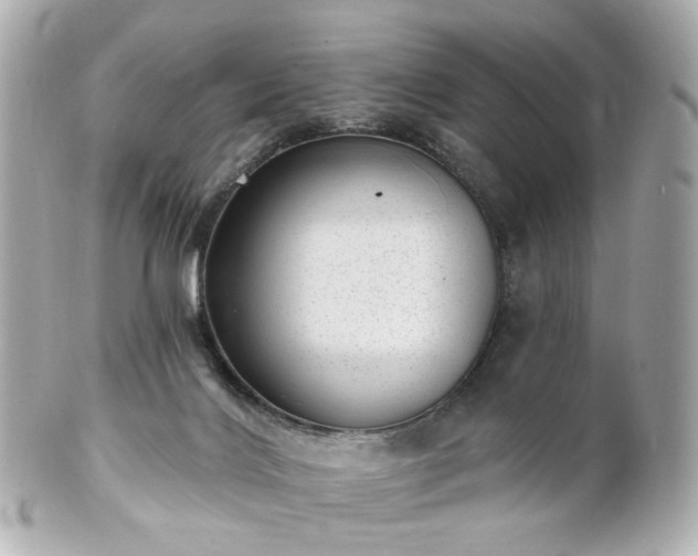 X0000100910028200807011254
