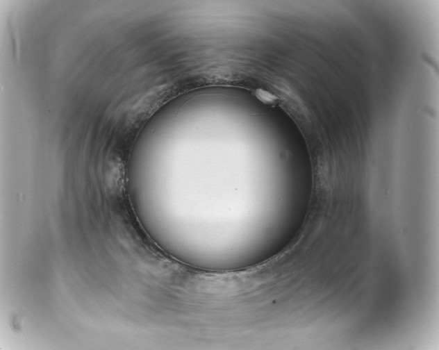 X0000100910029200807011254