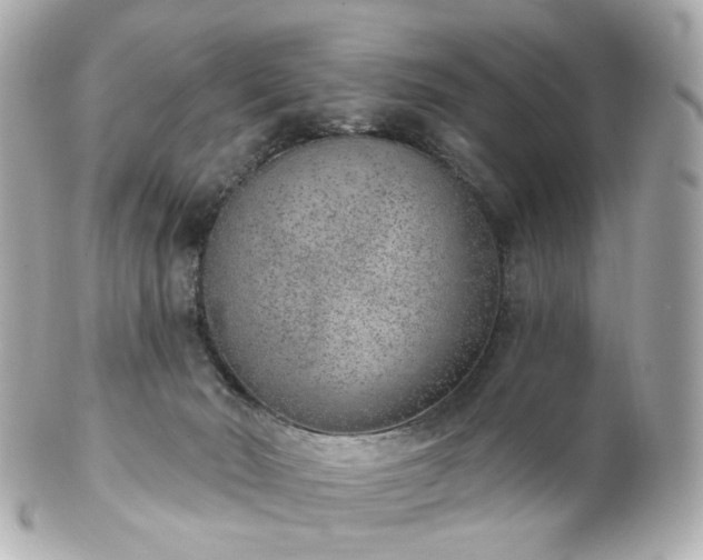 X0000100910030200807011254