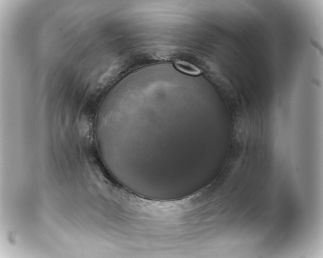 X0000100910031200807011254