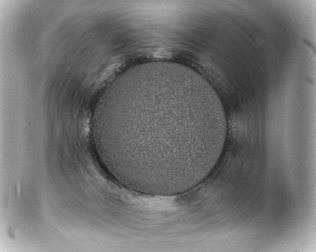 X0000100910032200807011254