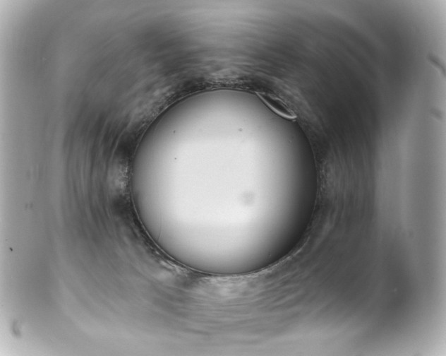 X0000100910033200807011254