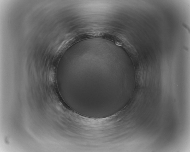 X0000100910035200807011254