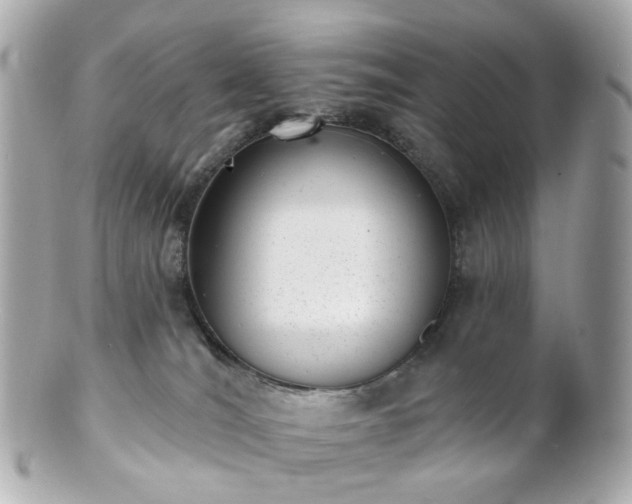 X0000100910036200807011254