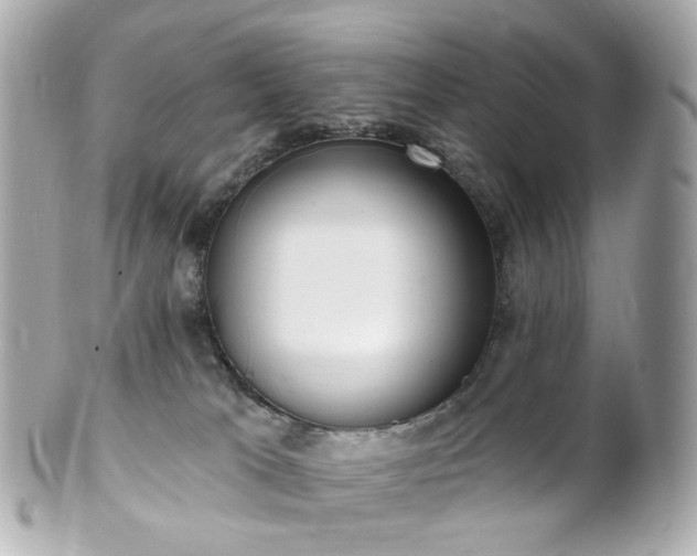 X0000100910037200807011254