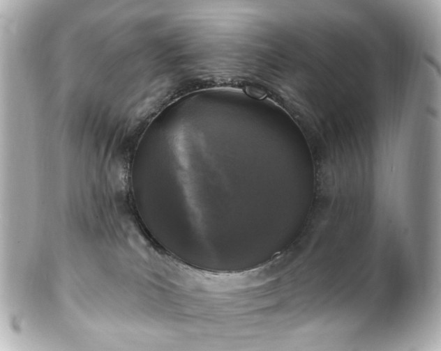X0000100910039200807011254