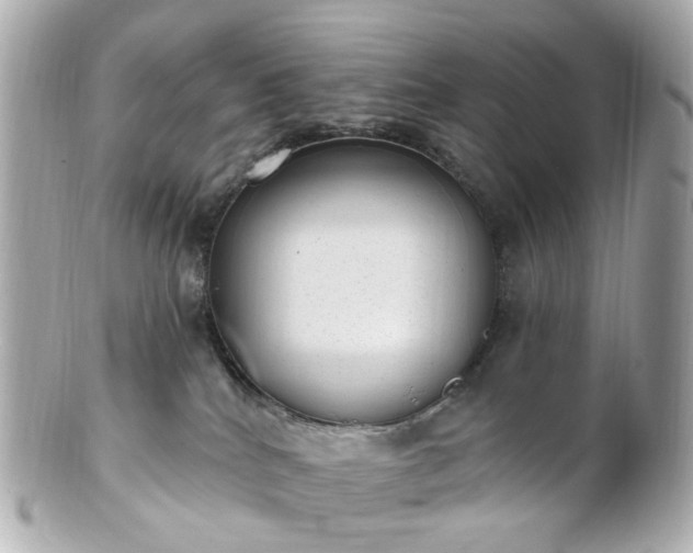 X0000100910040200807011254