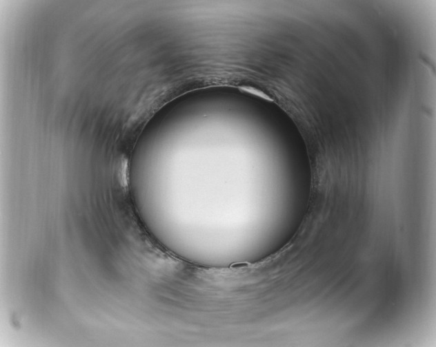 X0000100910041200807011254
