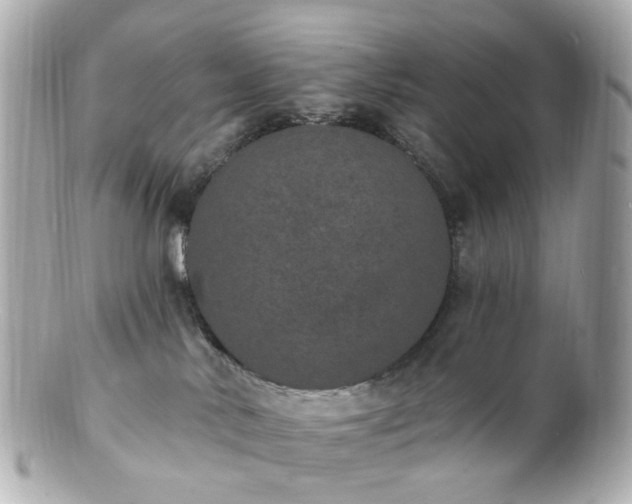 X0000100910042200807011254