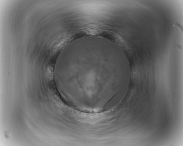 X0000100910043200807011254