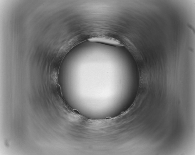 X0000100910045200807011253