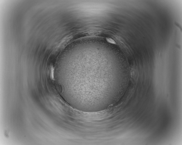 X0000100910046200807011253