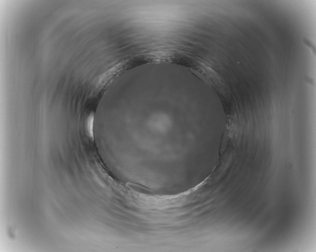 X0000100910047200807011253