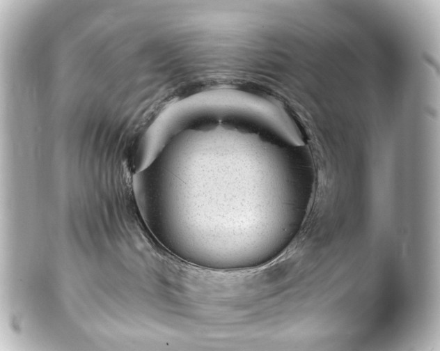 X0000100910048200807011253