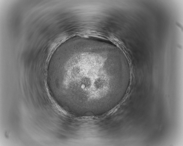 X0000100910049200807011253