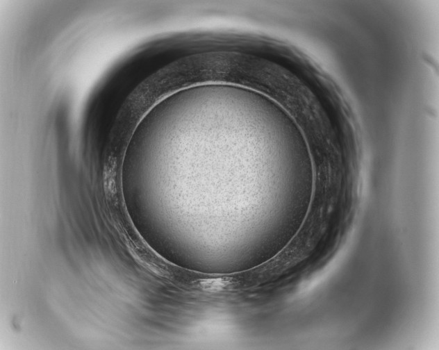 X0000100910050200807011253