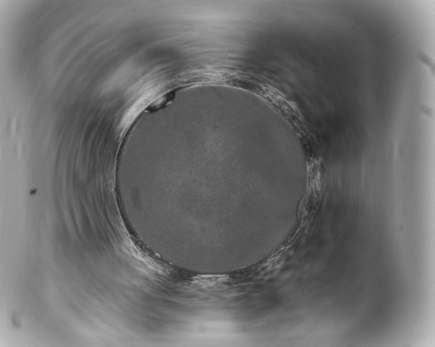 X0000100910051200807011253