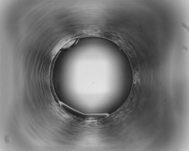 X0000100910052200807011253