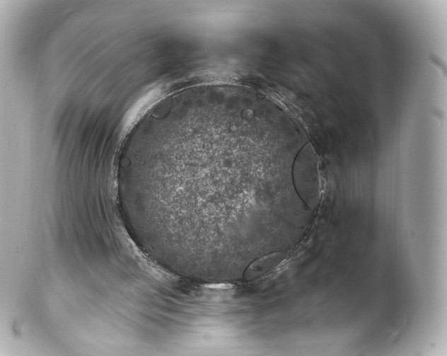 X0000100910053200807011253