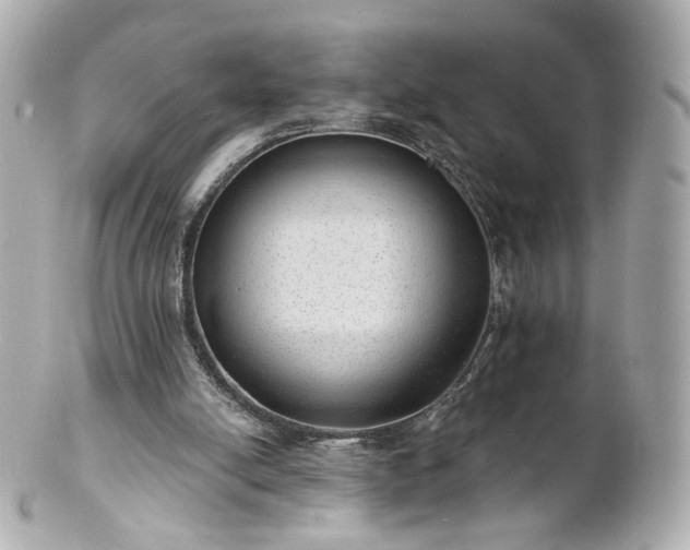 X0000100910054200807011253