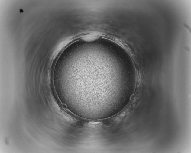 X0000100910055200807011253