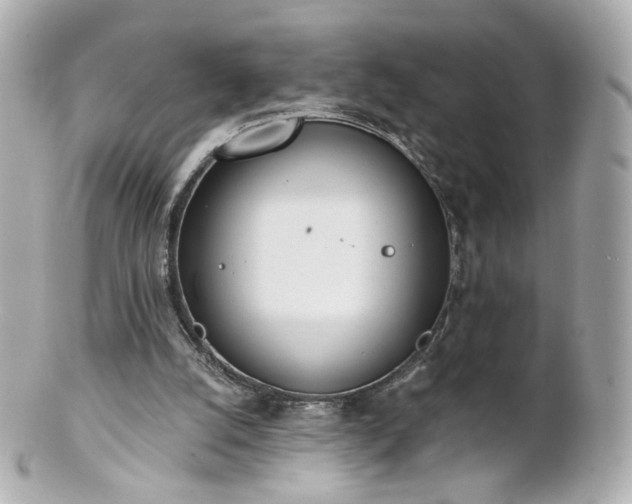 X0000100910056200807011253
