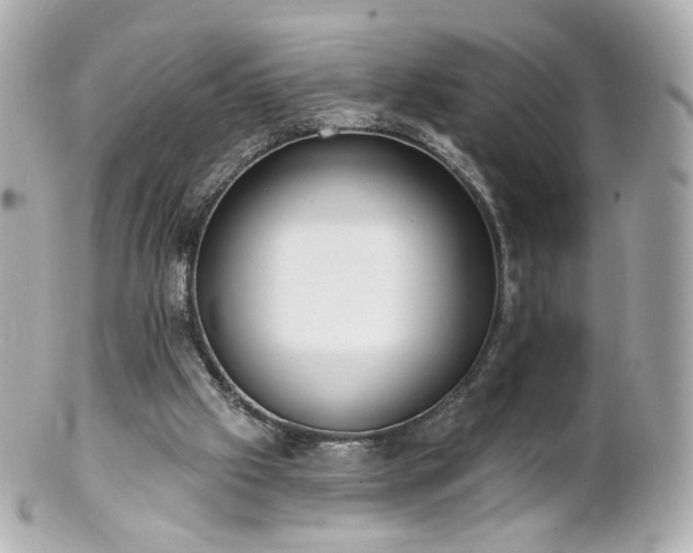 X0000100910057200807011253