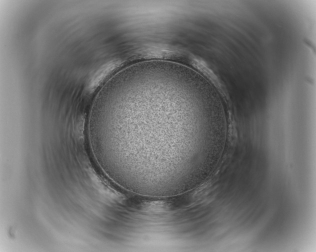 X0000100910058200807011253