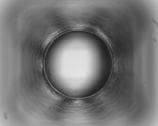 X0000100910059200807011253